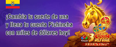 Bingo Nocturno Express 🌙 promotion